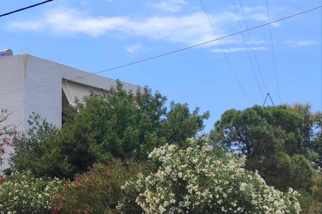 Photo of Others in Anavyssos