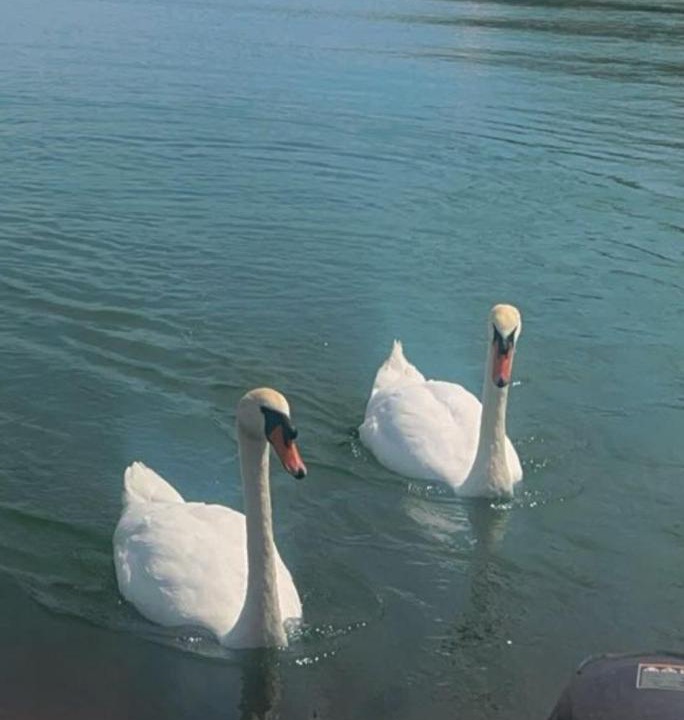Photo of Others in Virpazar