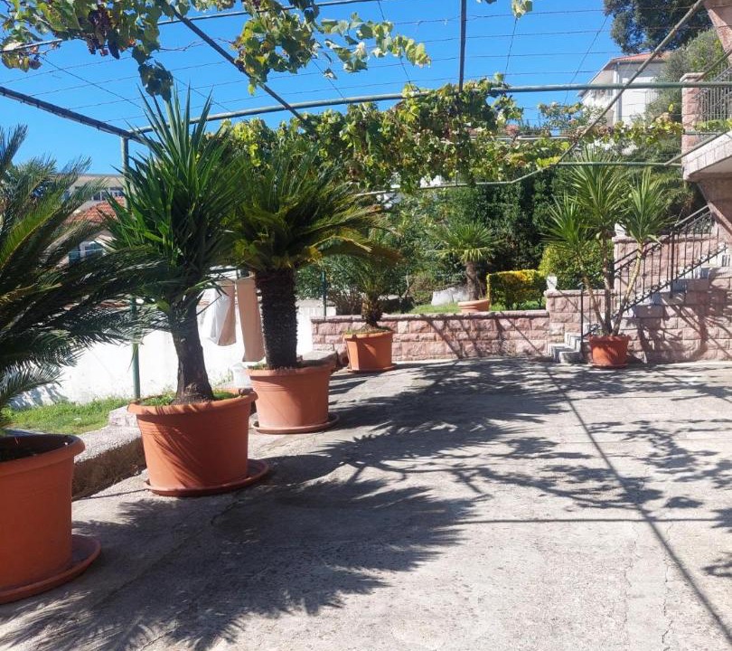 Photo of Others in Topla