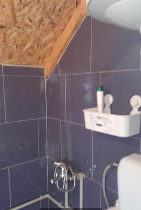 Photo of Bathroom in Plav