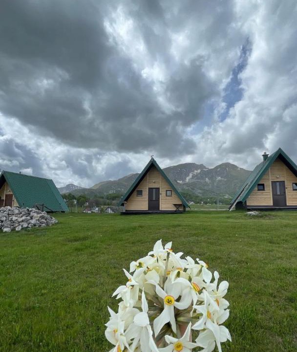 Photo of Others in Zabljak