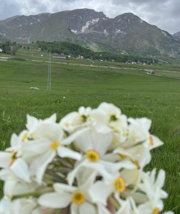 Photo of Others in Zabljak
