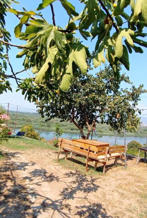 Photo of Others in Shkoder
