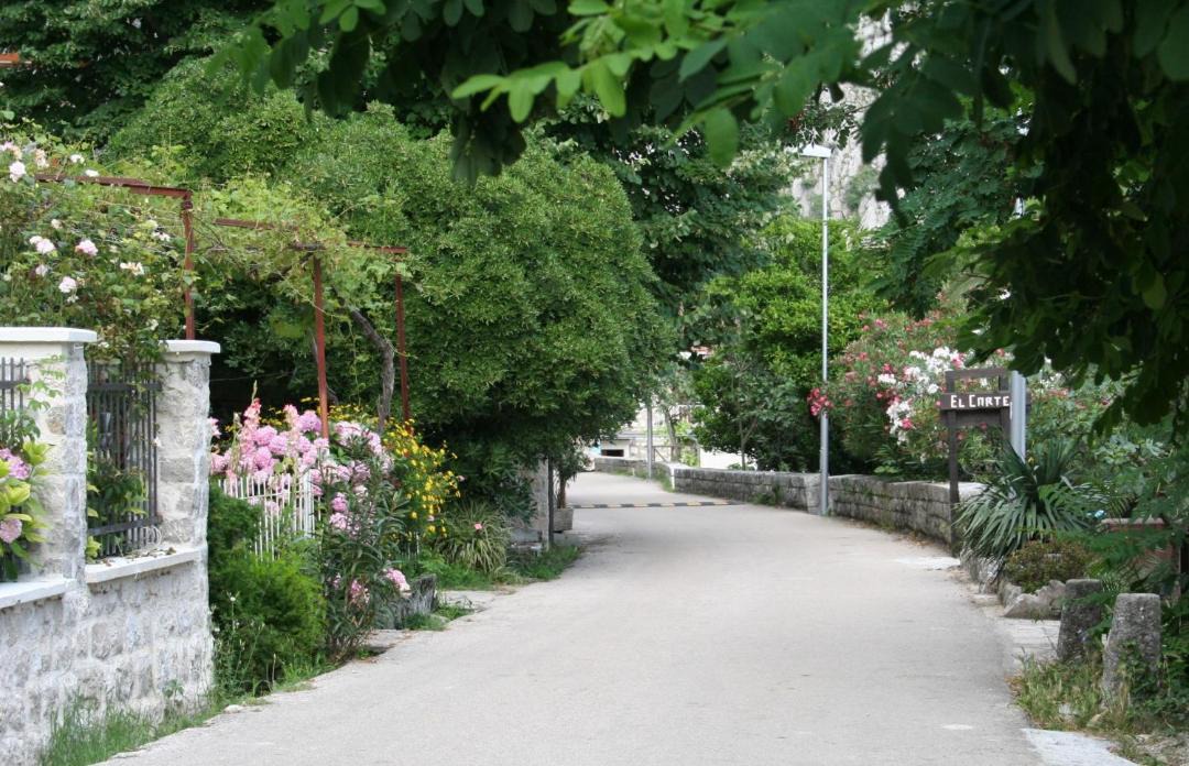 Photo of Others in Orahovac
