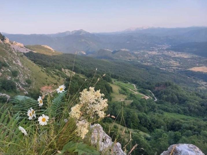 Photo of Others in Kolasin Municipality