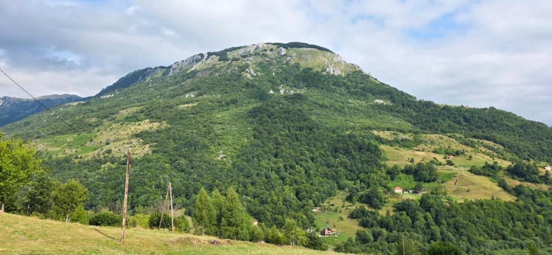 Photo of Others in Montenegro