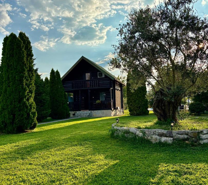 Photo of Others in Golubovci