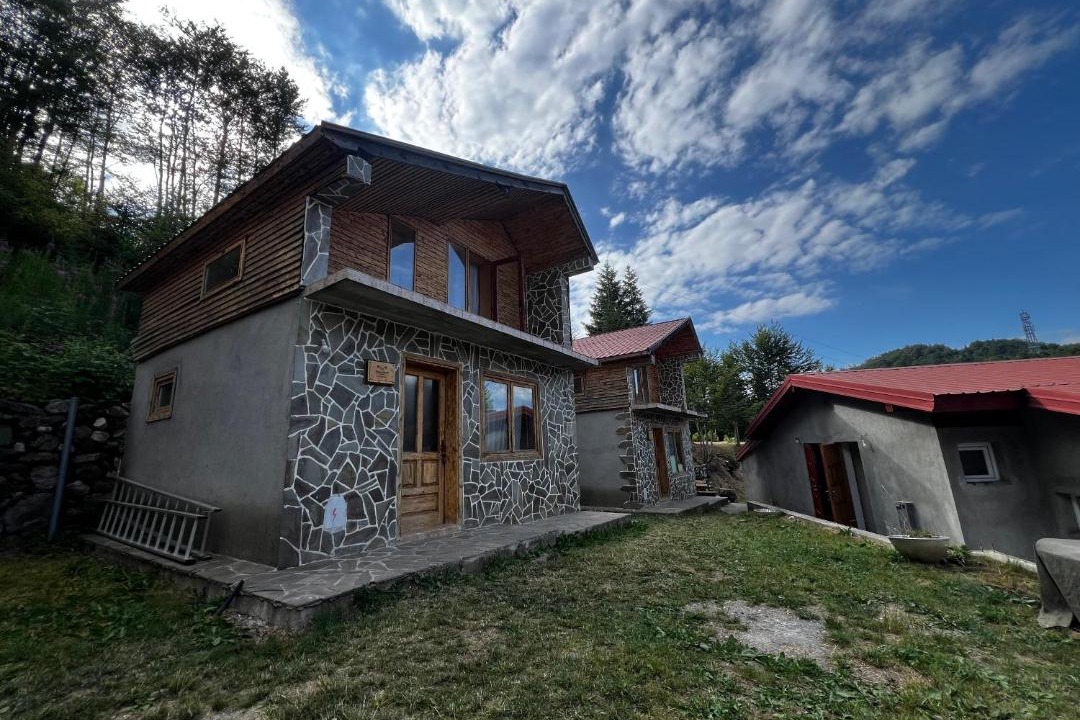 Photo of Others in Montenegro