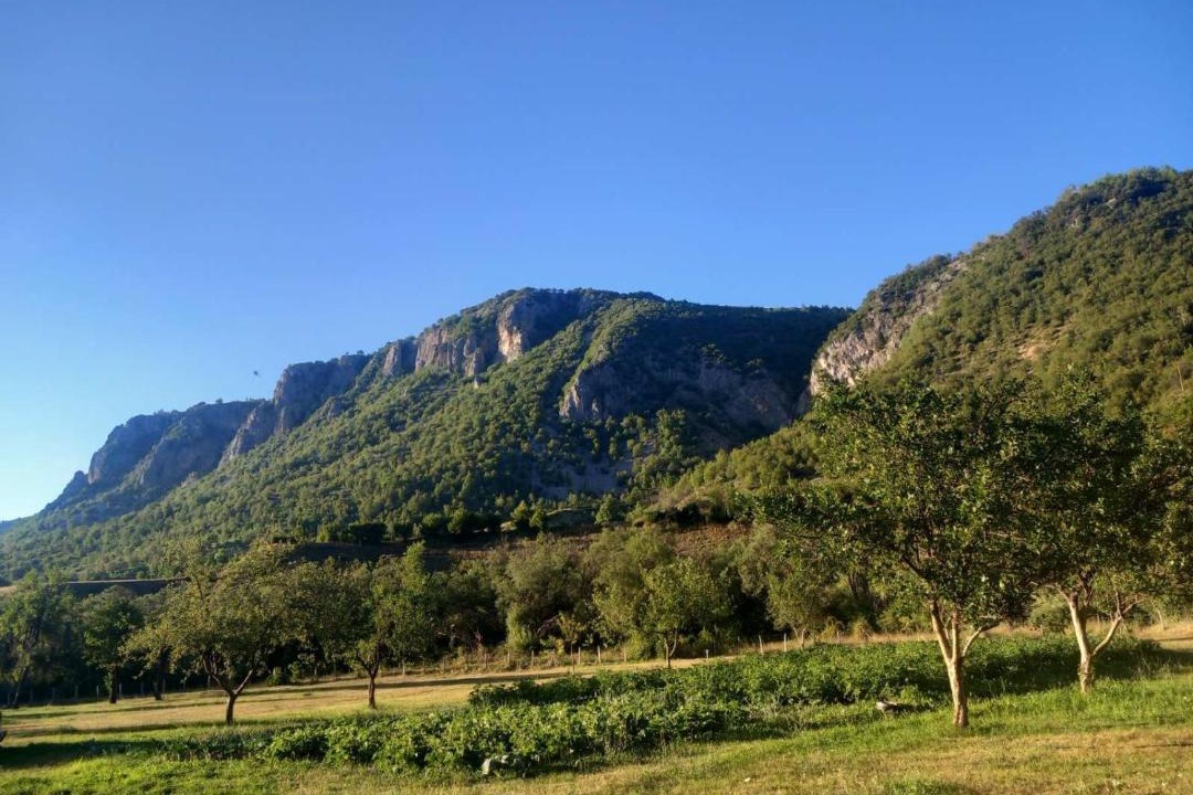 Photo of Others in Savnik