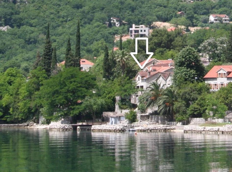 Photo of Others in Orahovac