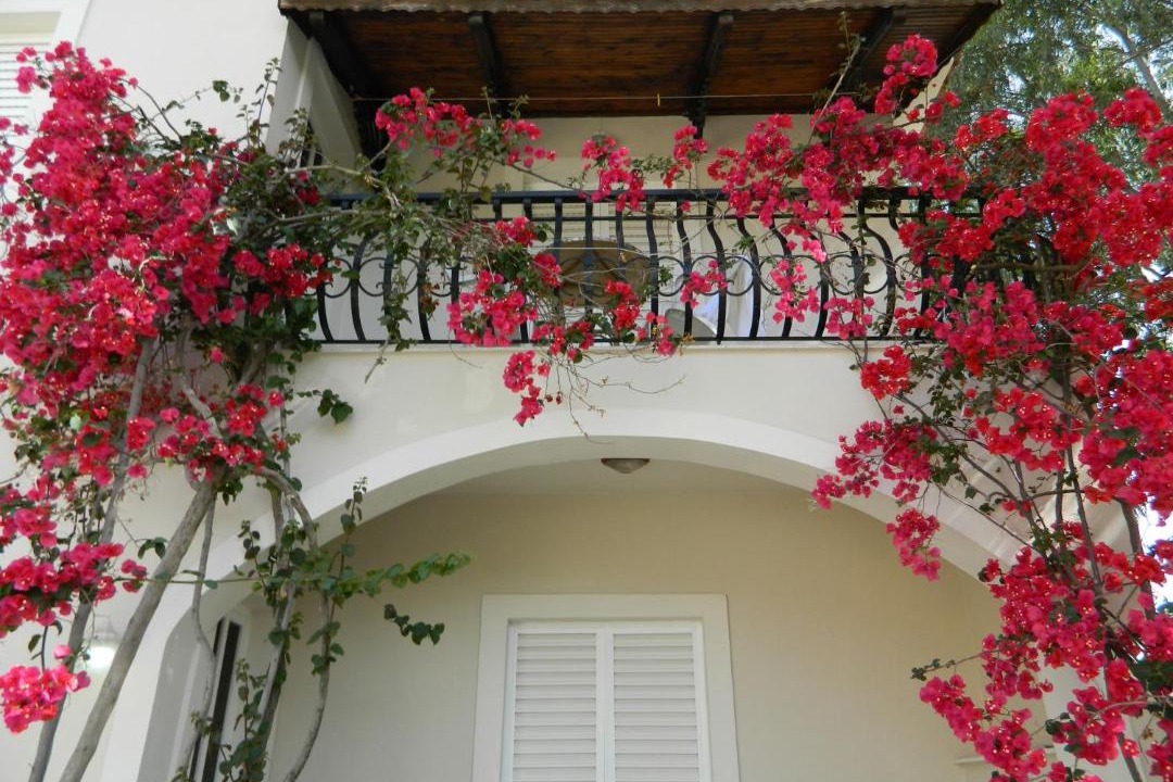Photo of Patio Balcony in Agrilia