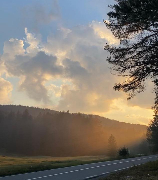 Photo of Others in Zabljak