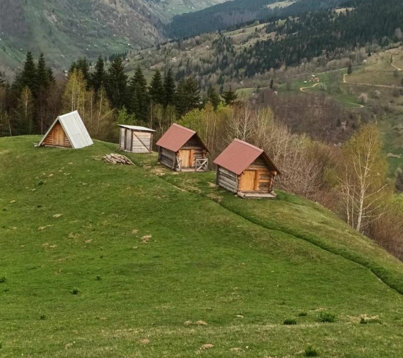 Photo of Others in Plav