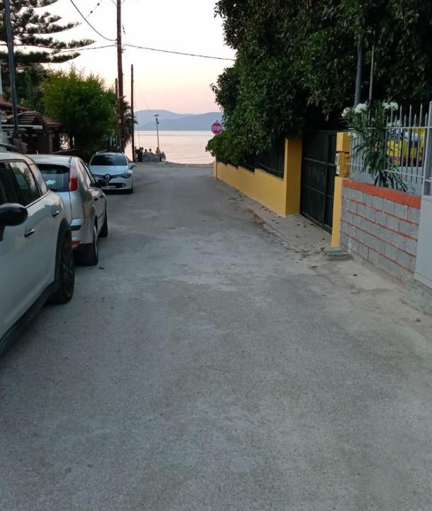 Photo of Others in Platistomo