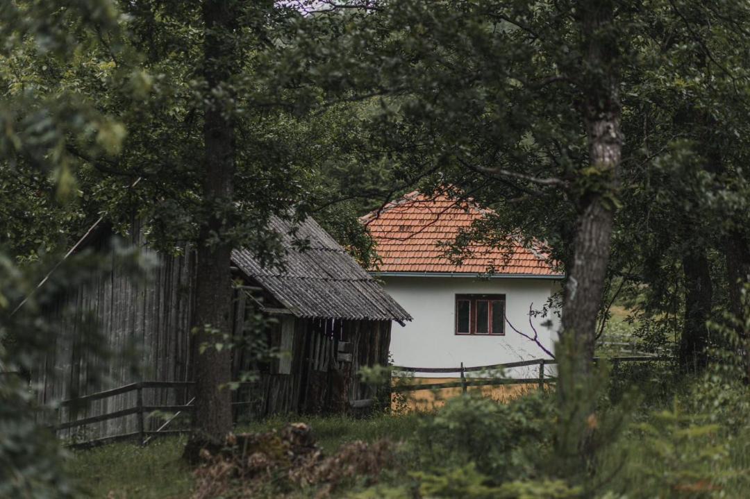 Photo of Others in Ninkovici