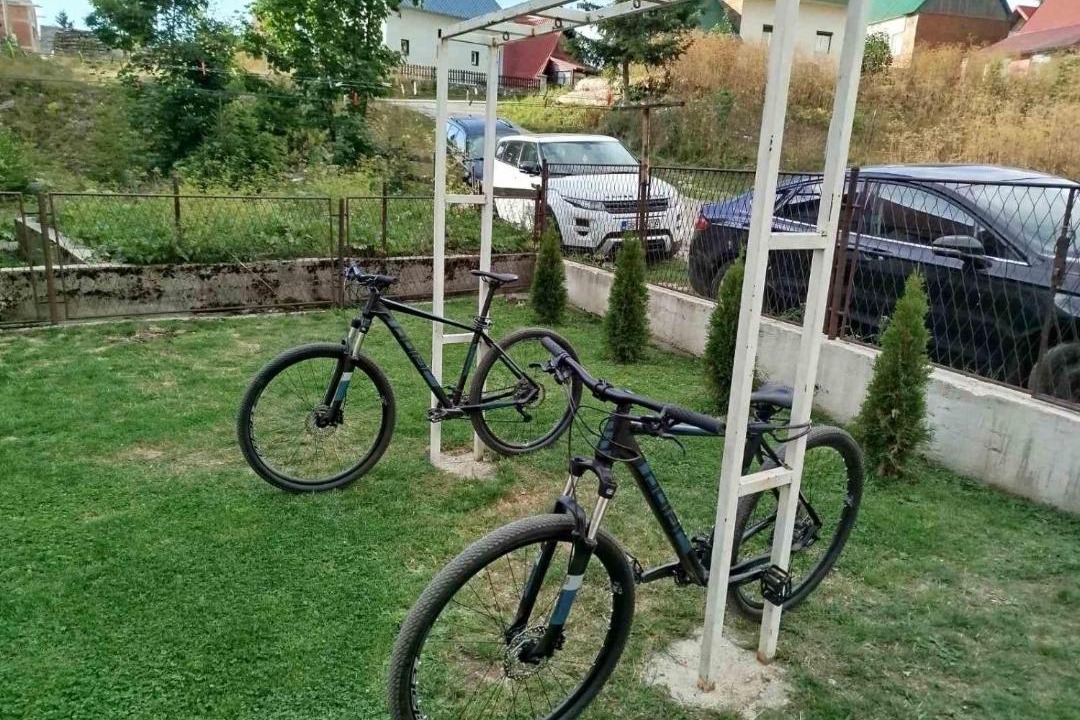 Photo of Others in Zabljak