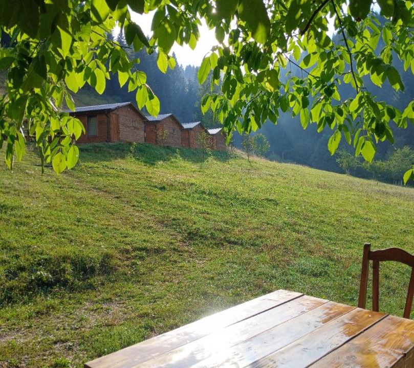 Photo of Others in Plav
