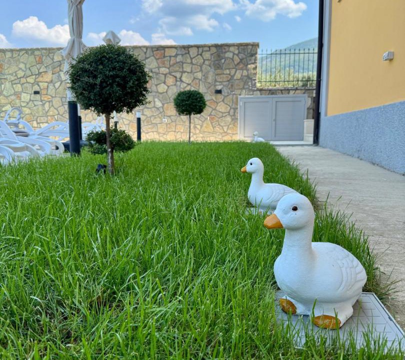Photo of Others in Sakës