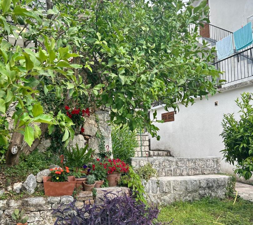 Photo of Others in Dobrota