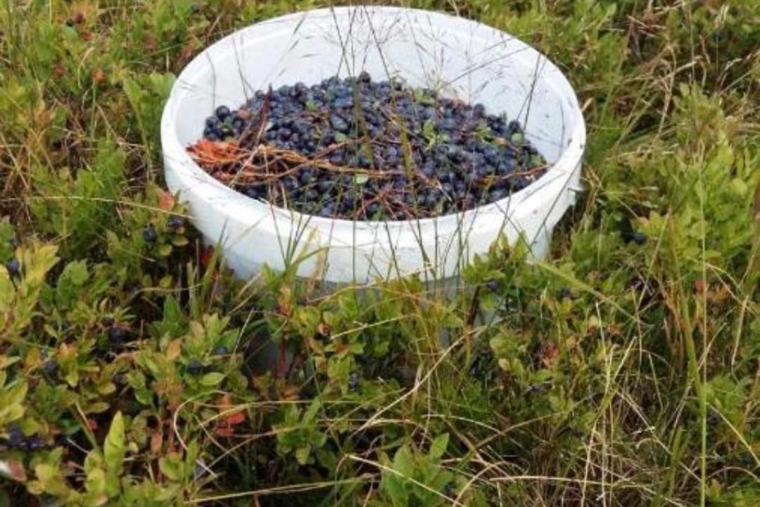 Photo of Outdoor in Savnik