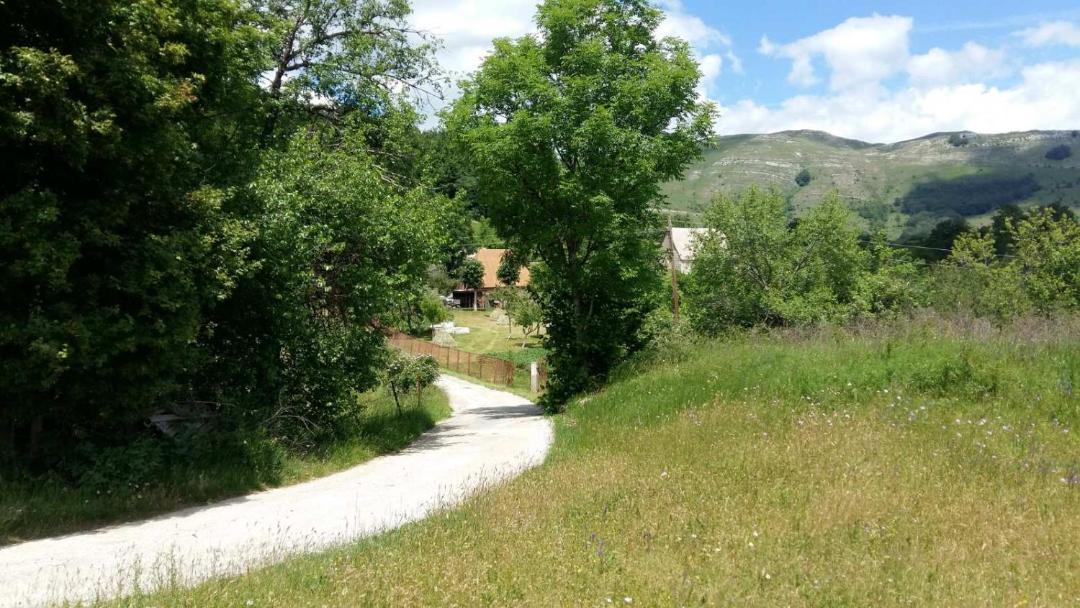 Photo of Outdoor in Savnik