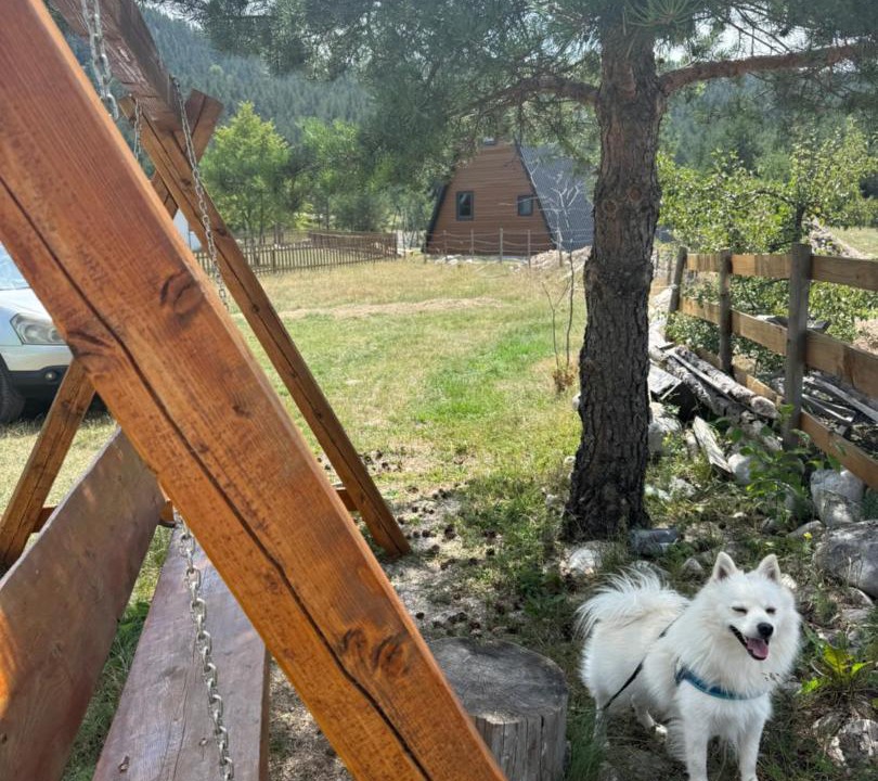 Photo of Others in Zabljak