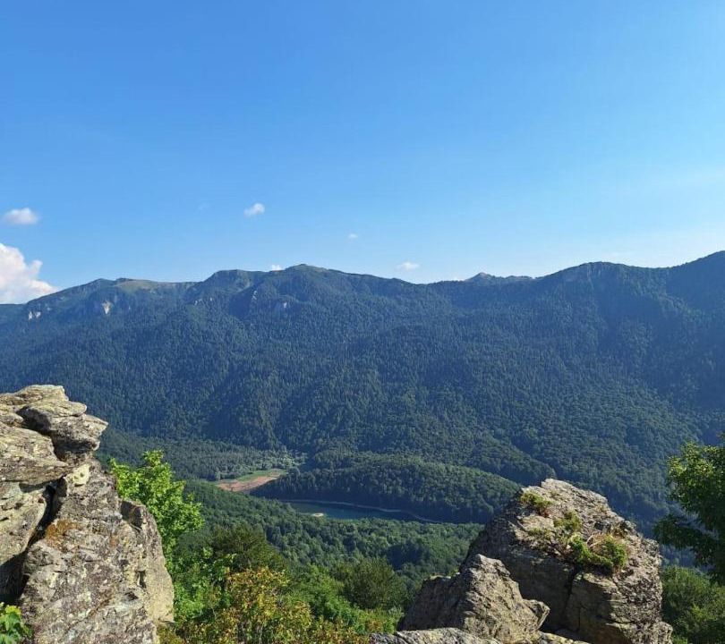 Photo of Others in Mojkovac