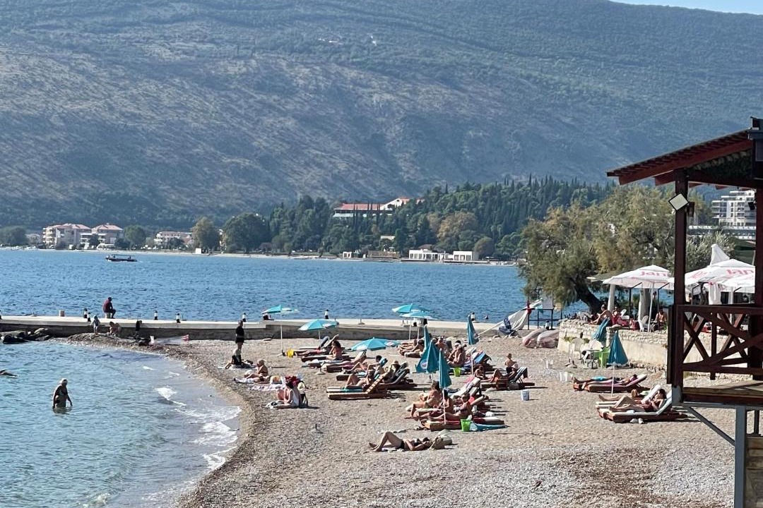 Photo of Others in Topla