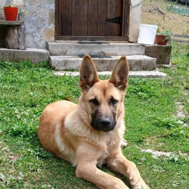 Photo of Others in Kolasin Municipality