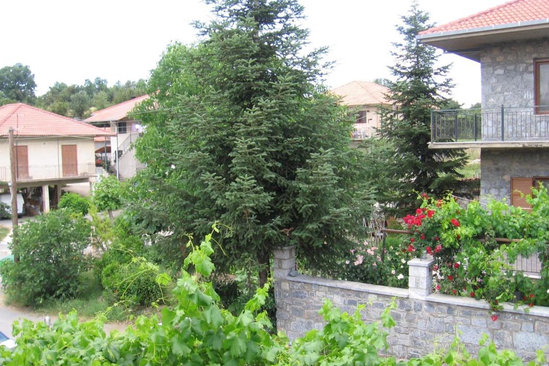 Photo of Others in Vitina