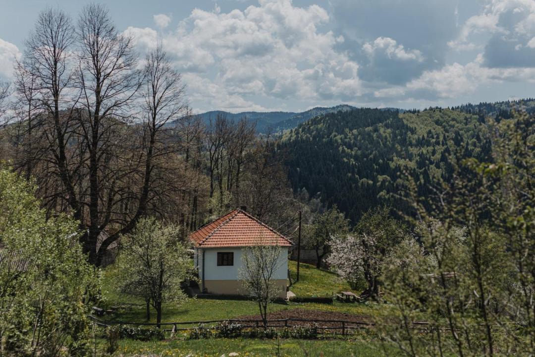 Photo of Others in Ninkovici