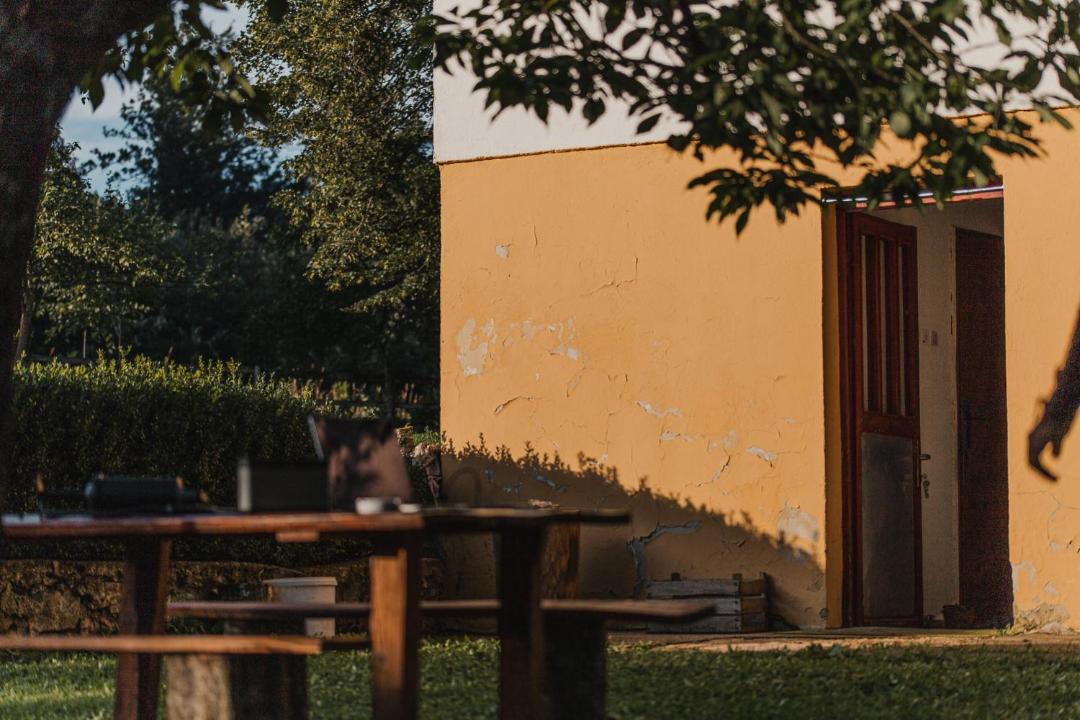Photo of Others in Ninkovici