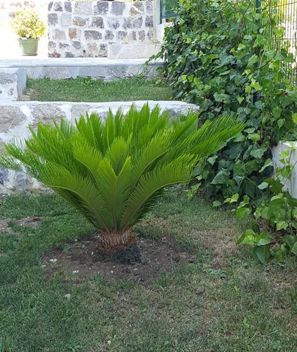 Photo of Others in Mojdez