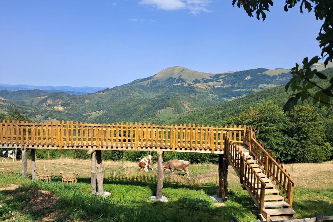 Photo of Others in Mojkovac