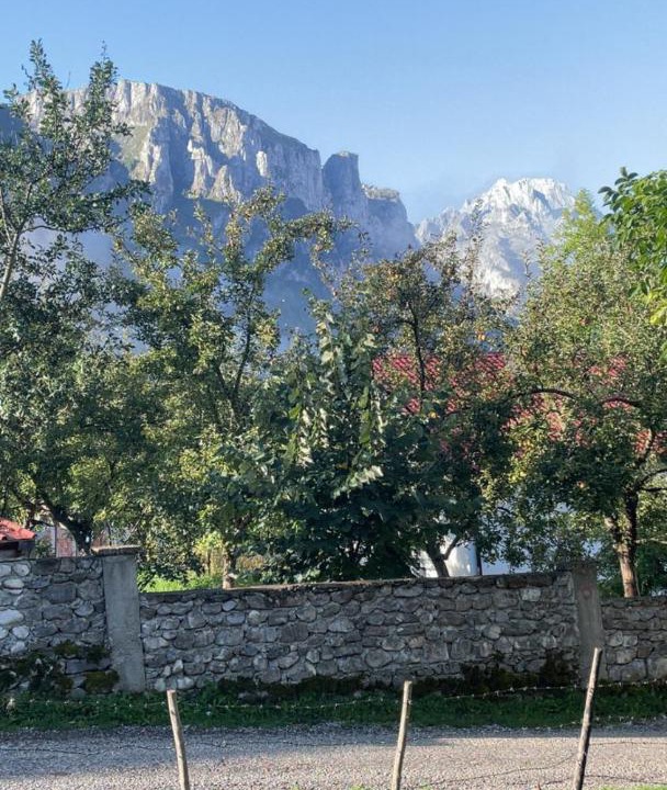 Photo of Others in Vusanje