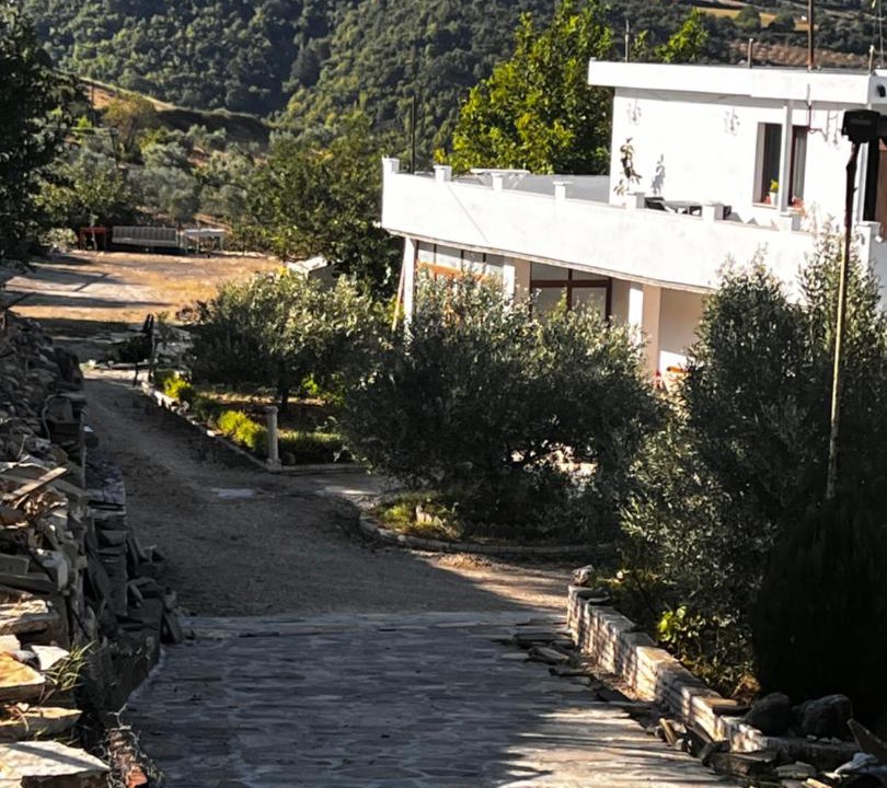 Photo of Others in Sinje