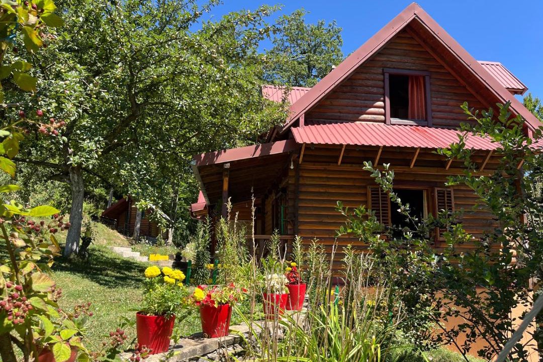 Photo of Others in Mojkovac
