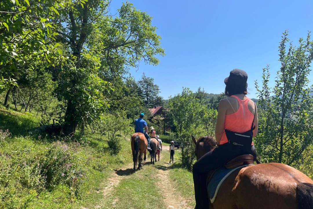 Photo of Outdoor in Mojkovac