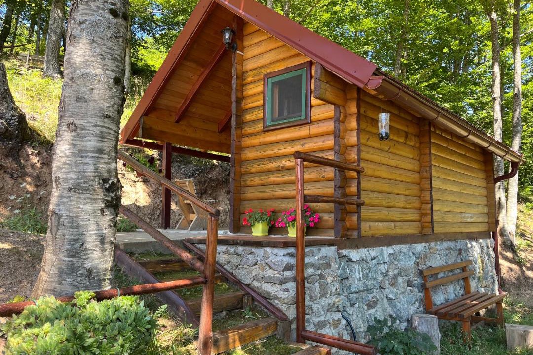 Photo of Others in Mojkovac