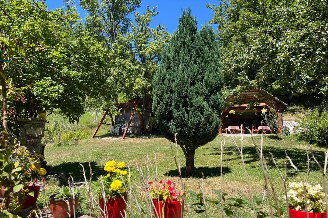 Photo of Others in Mojkovac