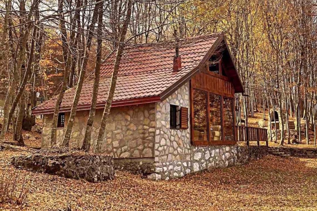 Photo of Others in Cetinje