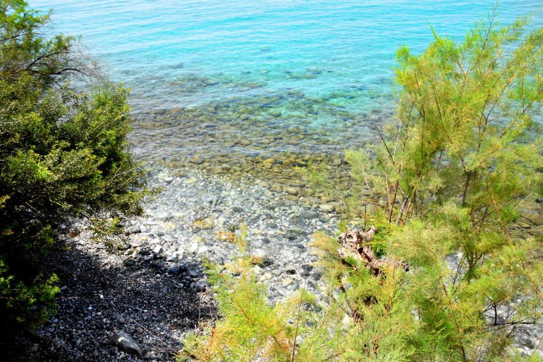 Photo of Others in Paralia Vergas