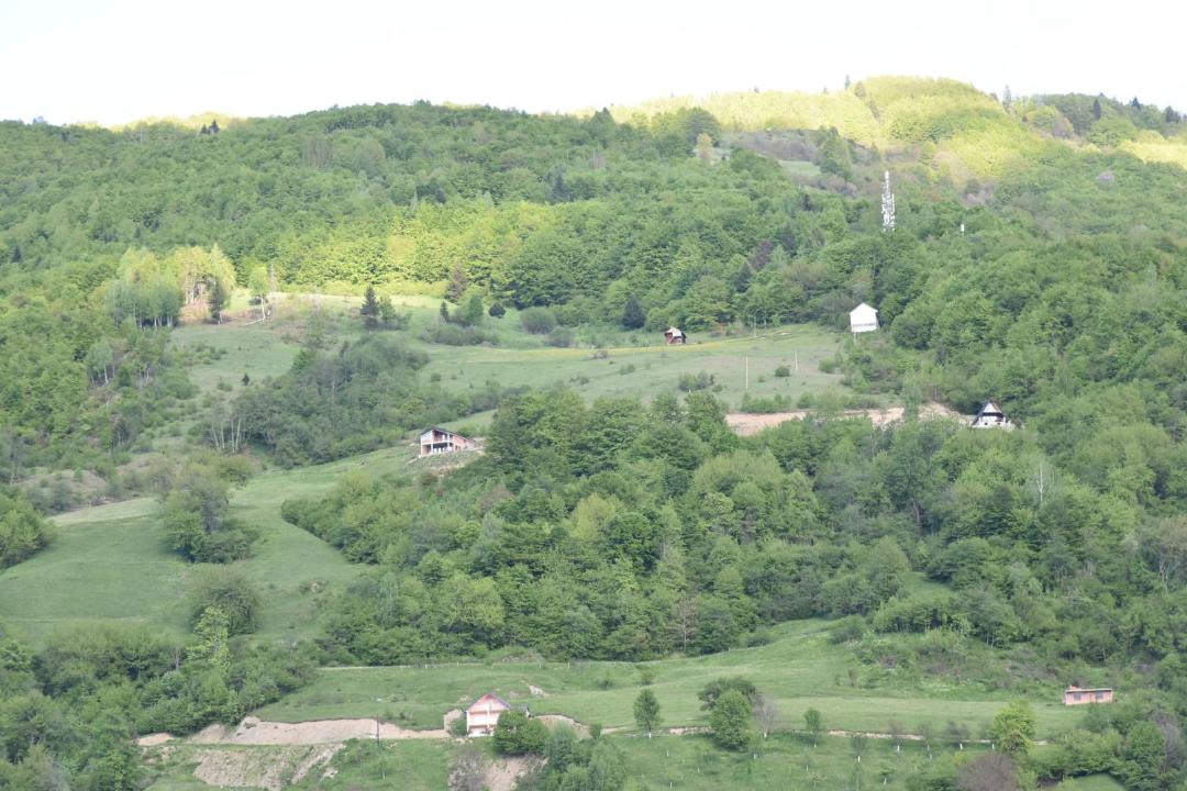 Photo of Others in Plav