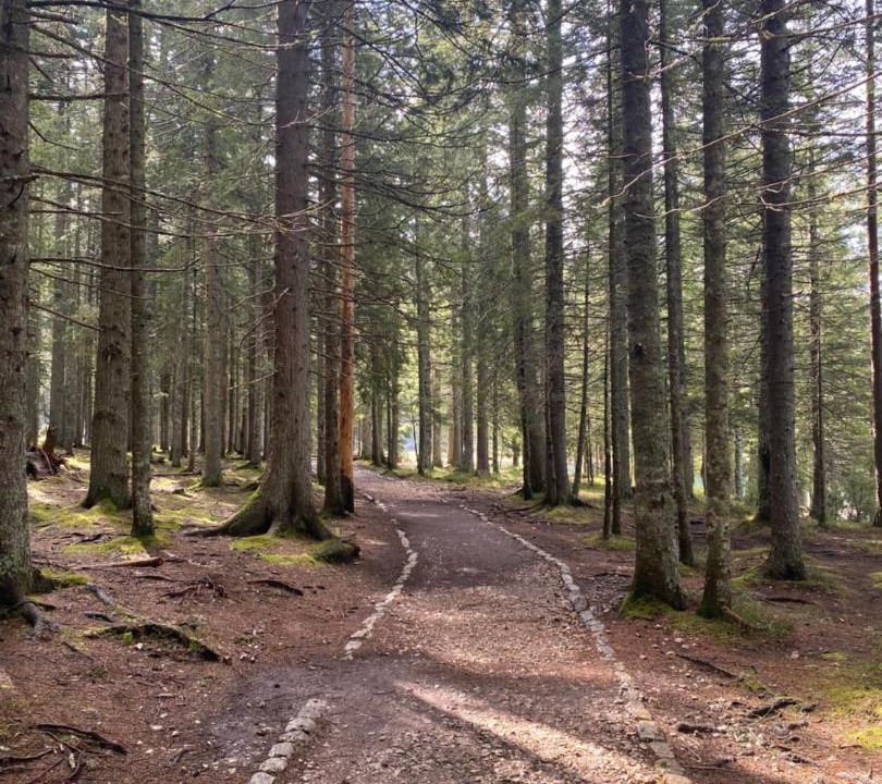 Photo of Others in Zabljak