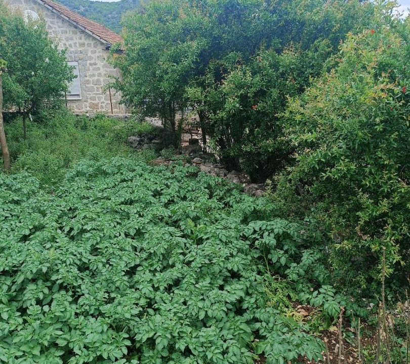 Photo of Others in Karuc