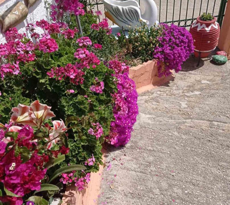 Photo of Others in Argostoli Town