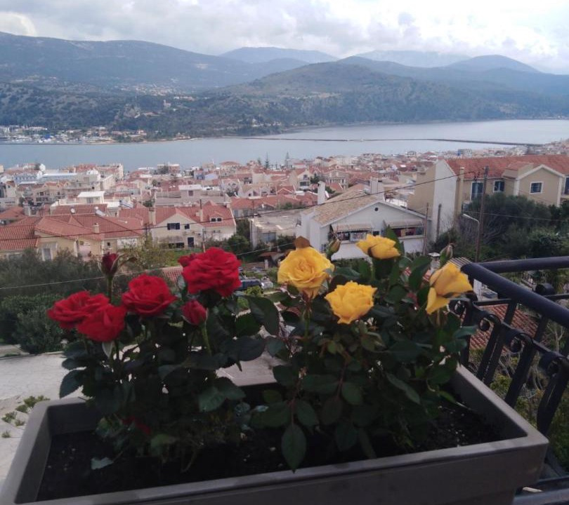 Photo of Others in Argostoli Town
