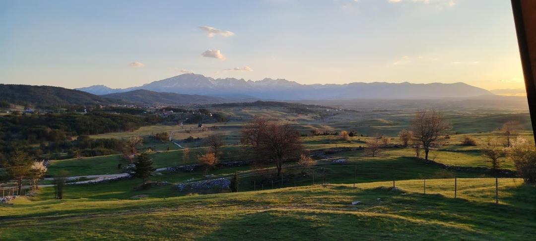 Photo of Others in Ninkovici