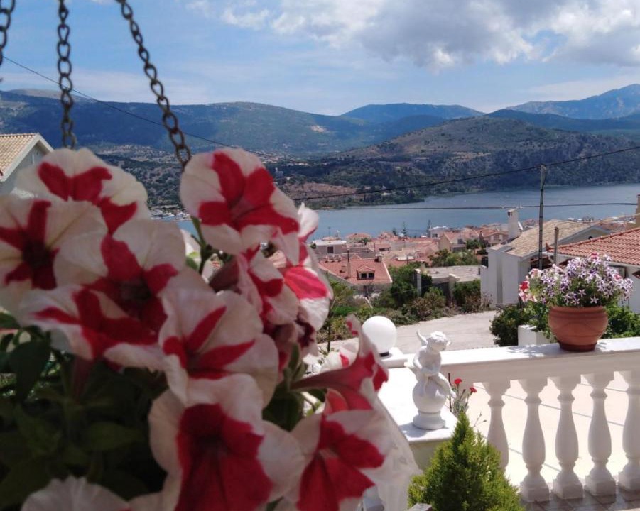 Photo of Others in Argostoli Town