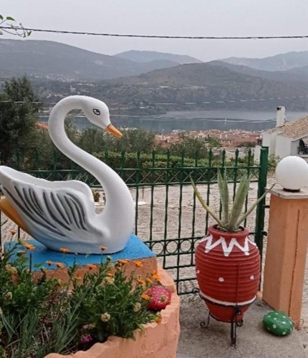 Photo of Others in Argostoli Town